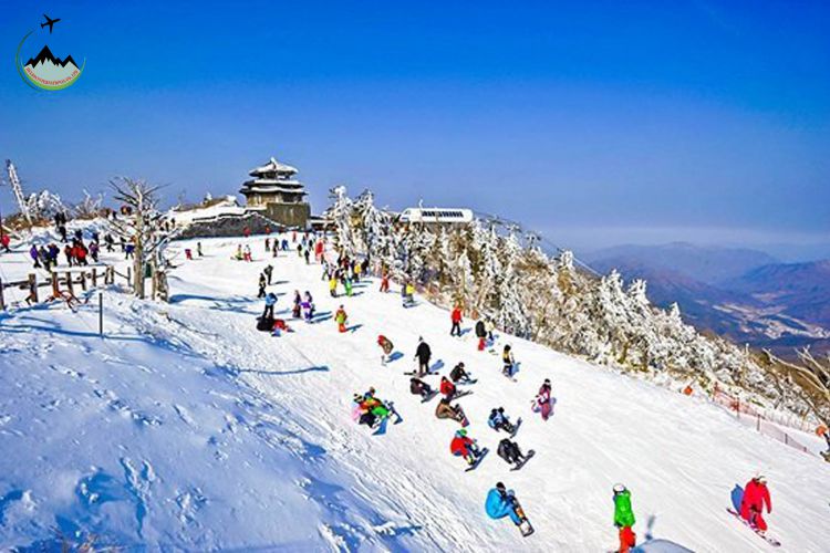 Vui Tết Canh Tý Hàn Quốc  Trải Nghiệm Trượt Tuyết