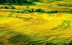 Vietnam Ultimate Honeymoon - 16 Days