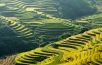 Vietnam Ultimate Honeymoon - 16 Days