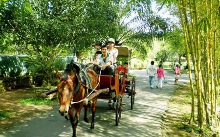 Ho Chi Minh - My Tho - Hoian - My Son - Hue - Hanoi