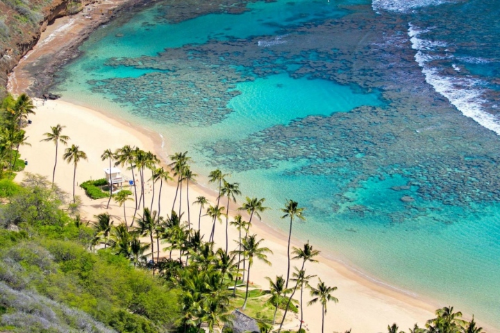 Snorkeling In Cham Island