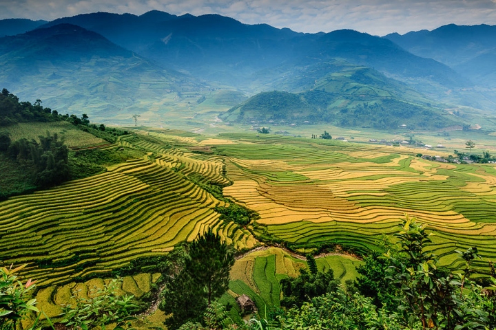 Vietnam Revealed - 13 Days