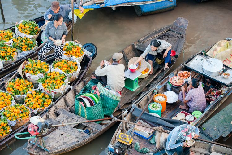 Can Tho - Bang Lang Stork Sanctuary – Cai Rang Floating Market 2 Days 1 Night
