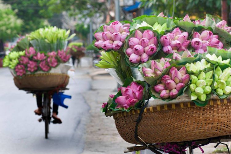 Hanoi - Halong - Hue - Hoian - Ho Chi Minh - Phu Quoc