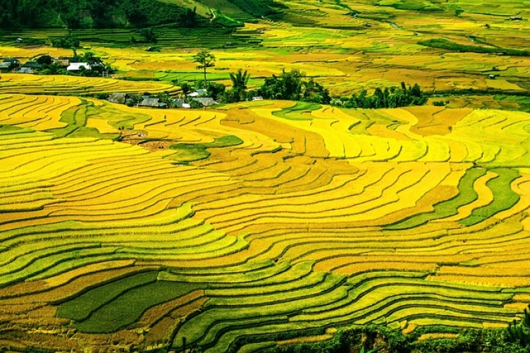 Vietnam Ultimate Honeymoon - 16 Days