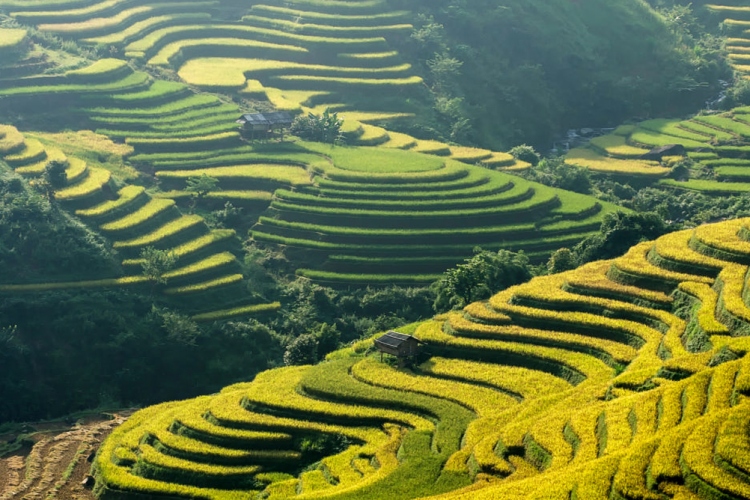 Vietnam Ultimate Honeymoon - 16 Days