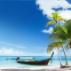 Hanoi - Halong - Ninh Binh - Phong Nha - Hue - Hoi An - Quy Nhon - Nhatrang - Dalat