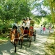 Ho Chi Minh - My Tho - Hoian - My Son - Hue - Hanoi