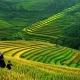 Trekking In Scattered Hamlets Of Sapa 5 Days 6 Nights